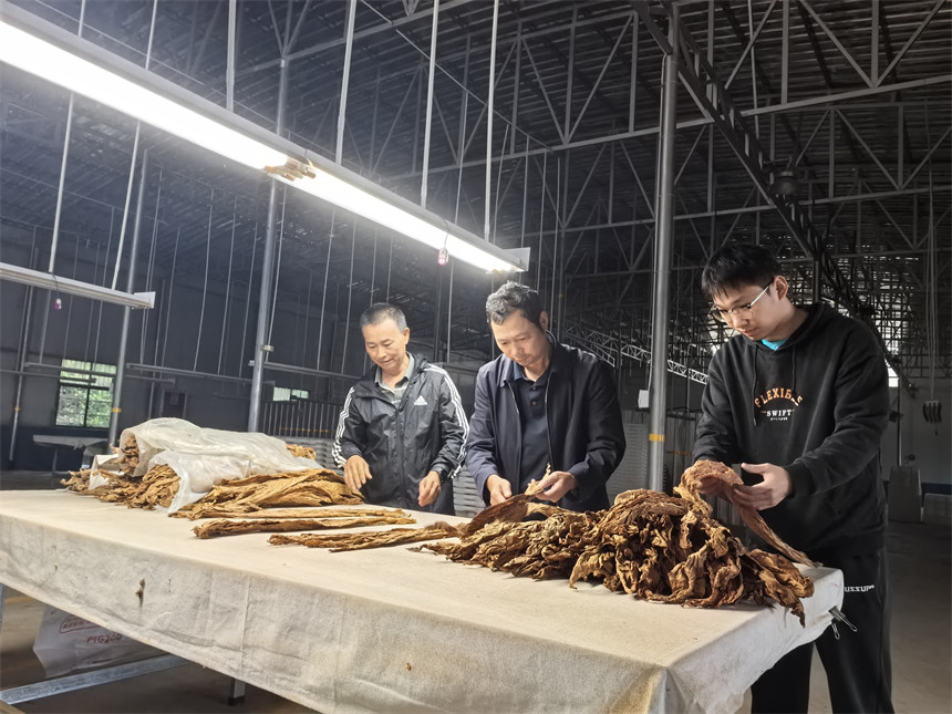 以育為基強青年 以干賦能興產業
