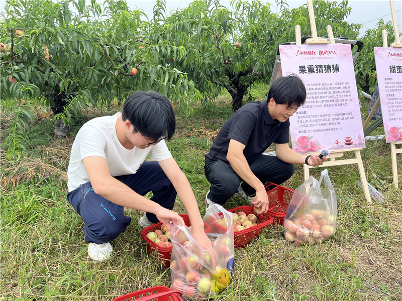 赏花会、采摘节、研学游每年吸引数万名游客。