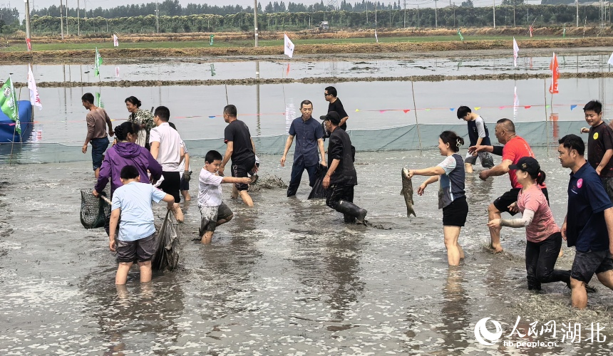 市民纷纷走下农田,体验摸鱼乐趣。人民网记者 周雯摄