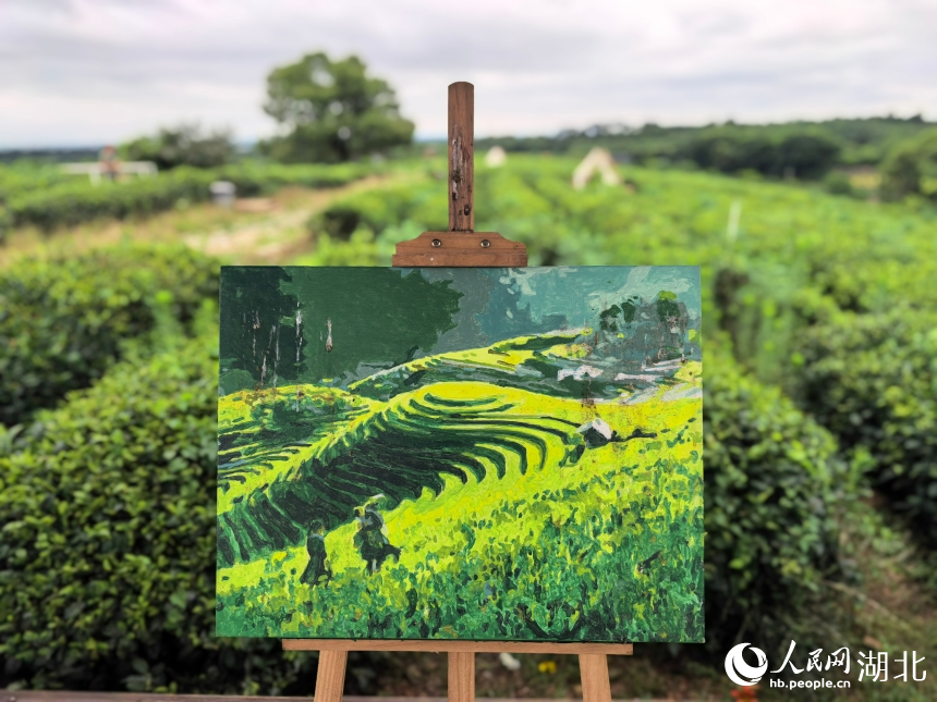 柏泉茶园,风景如画。人民网记者 周雯摄
