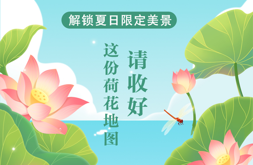 解鎖夏日限定美景！這份荷花地圖請收好