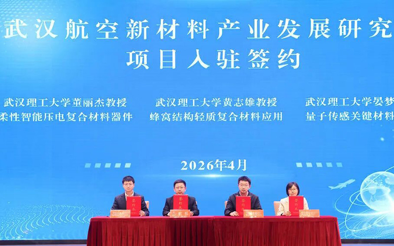 从“点状突破”迈向“集群成势”武汉蔡甸区新材料产业聚势腾飞(图2)