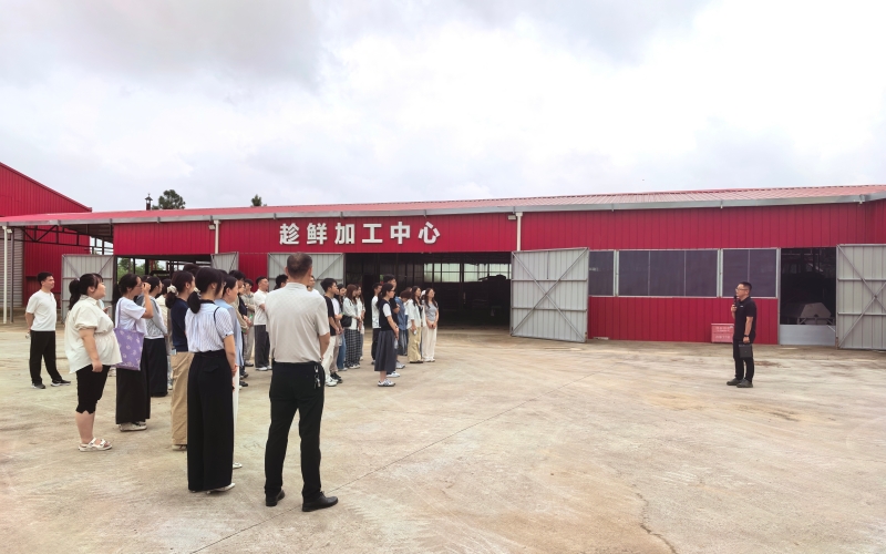 青年干部走进项目参观。