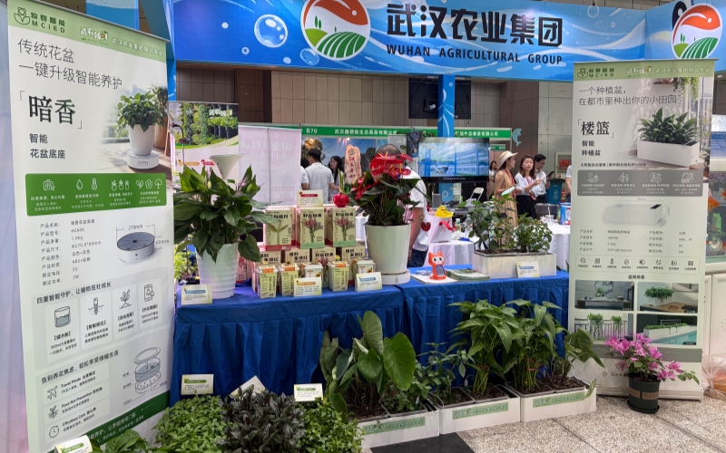 武汉农博会上阳台农业展示。