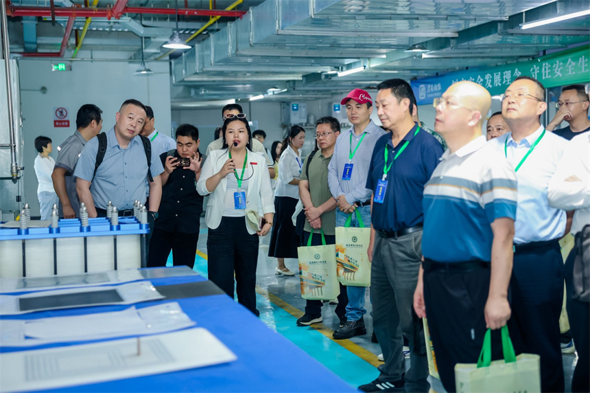 与会嘉宾参观液流储能示范生产线。