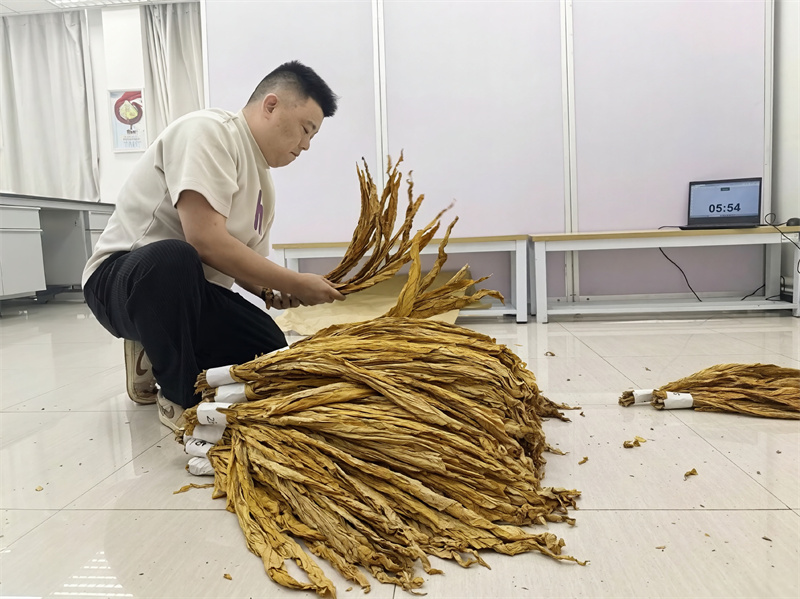 参赛选手参加甩把环节。云晨摄