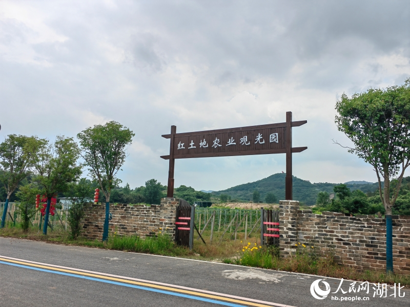 红土地农业观光园。人民网记者 郭婷婷摄
