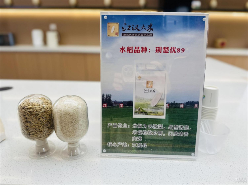 從一粒良種到百萬畝大單品 “荊楚優89”蹚出種糧一體化路徑【5】