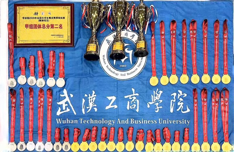 武漢工商學院龍獅隊獲得的榮譽