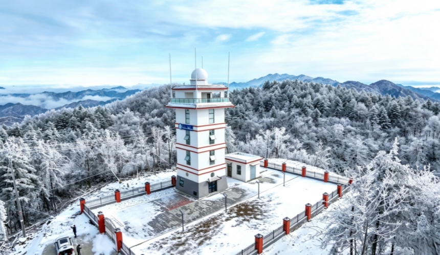湖北兴山烟草:防灾稳产业 共治稳增收【3】