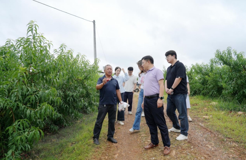 调研组一行了解果园水肥一体化等农业基础设施建设情况。