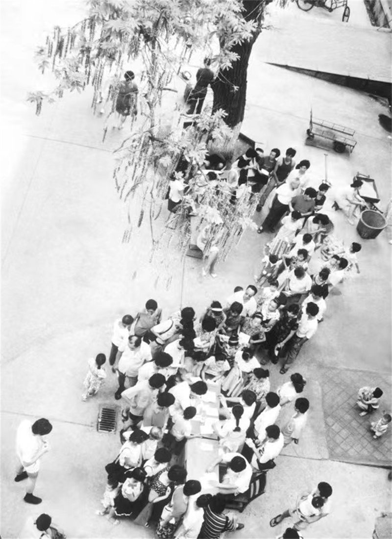 20世纪70年代皮肤科专家团队在树下开展义诊。资料图片