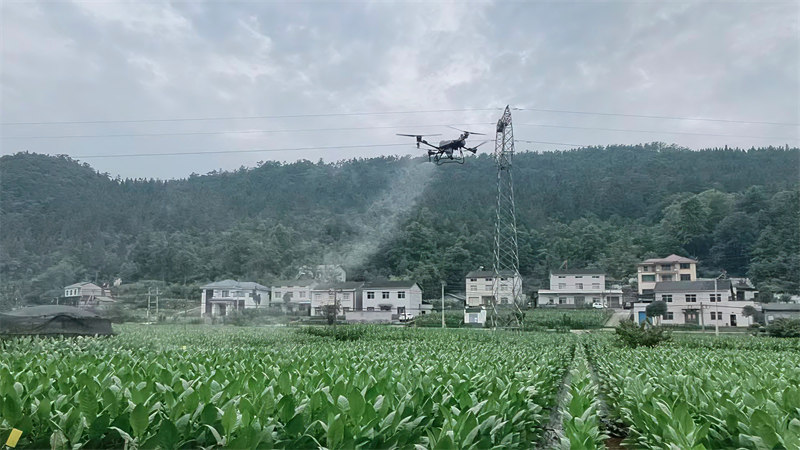 无人机正在作业。