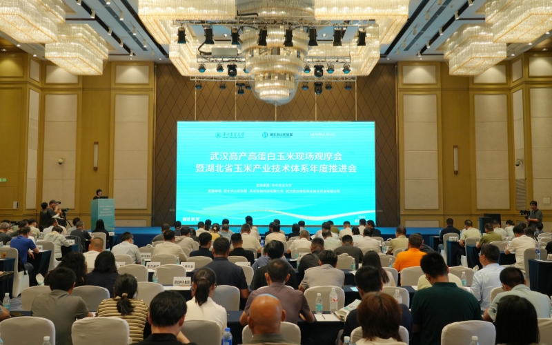 与会单位代表在会议现场交流。晏华华摄