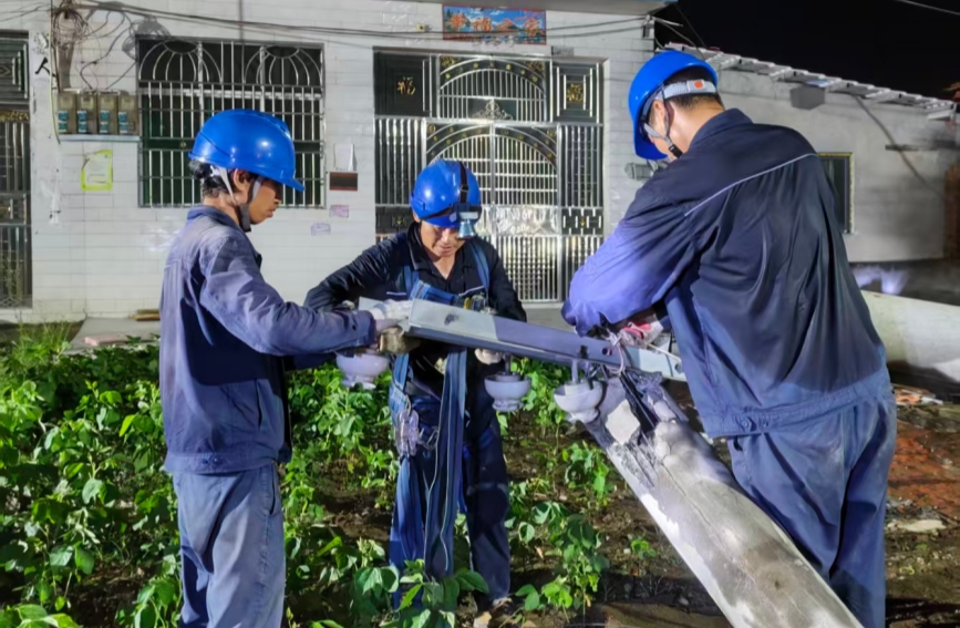 湖北洪湖80名電力人守護4000畝魚塘【3】
