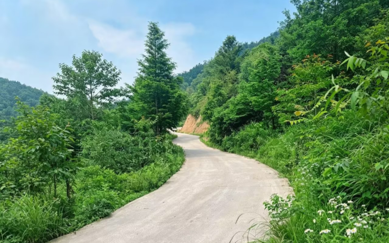 向宕村鄉村道路硬化改善變化。
