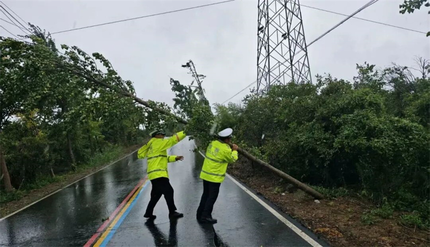 8月11日，谷城縣廟灘鎮獅子岩水庫路段道路沿線樹木倒伏橫阻路面，阻礙車輛正常通行，襄陽交警將倒伏樹木移至道路外側。