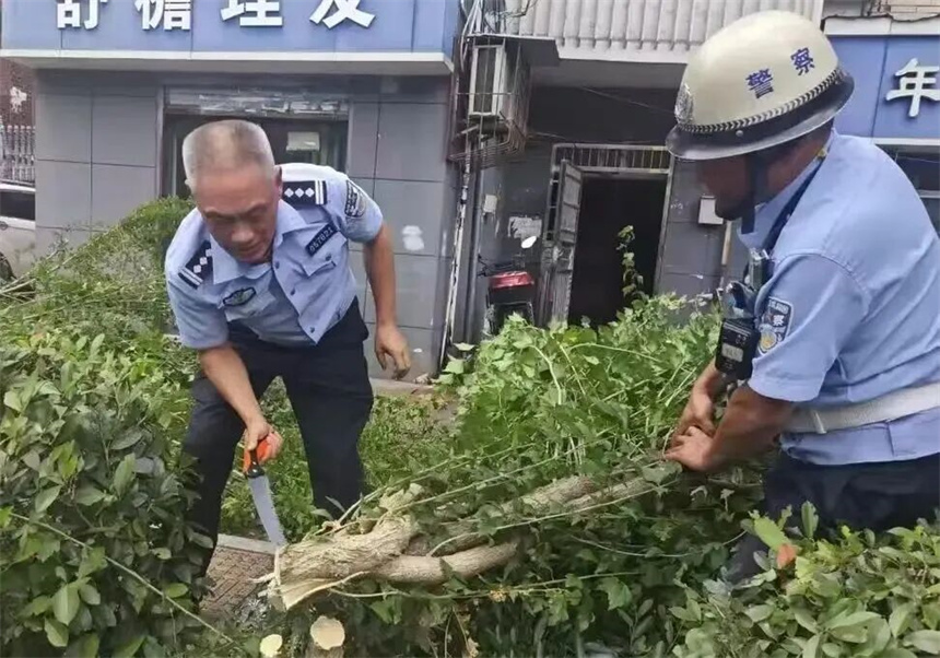 8月11日，宜昌交警在城區清理傾倒樹木，排除安全隱患。