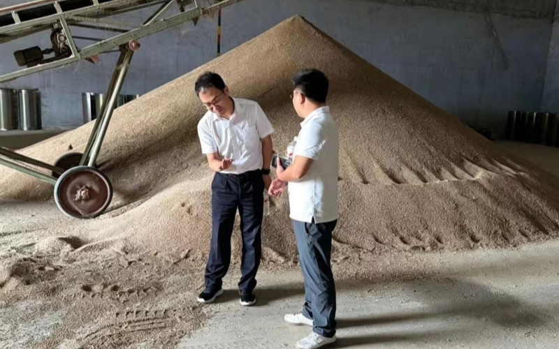 糧油貿易公司收糧現場。