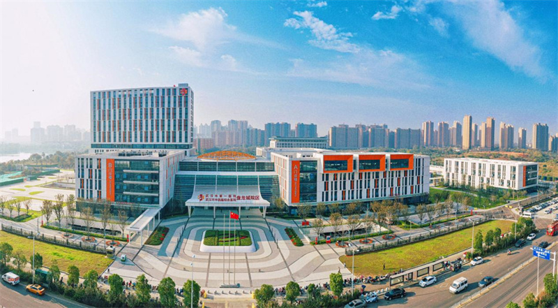 武漢市第一醫院盤龍城院區全景圖。