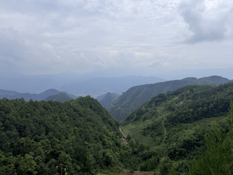 群山重披綠裝。景安攝