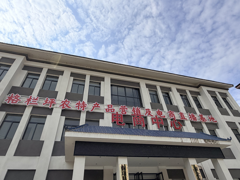 格蘭坪電商直播基地。景安攝