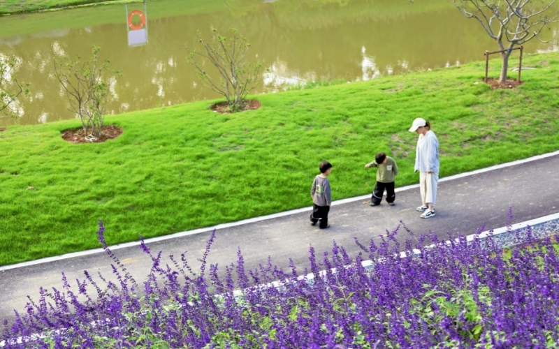 居民在花杉溪嶼公園遛娃。
