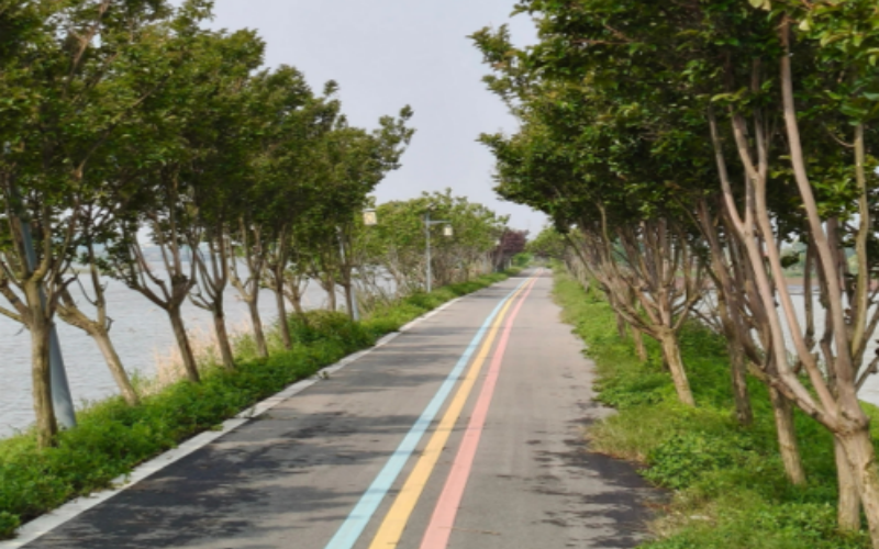 亮化后的乡间小道。