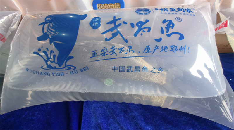 鮮活包裝的武昌魚。吳君攝