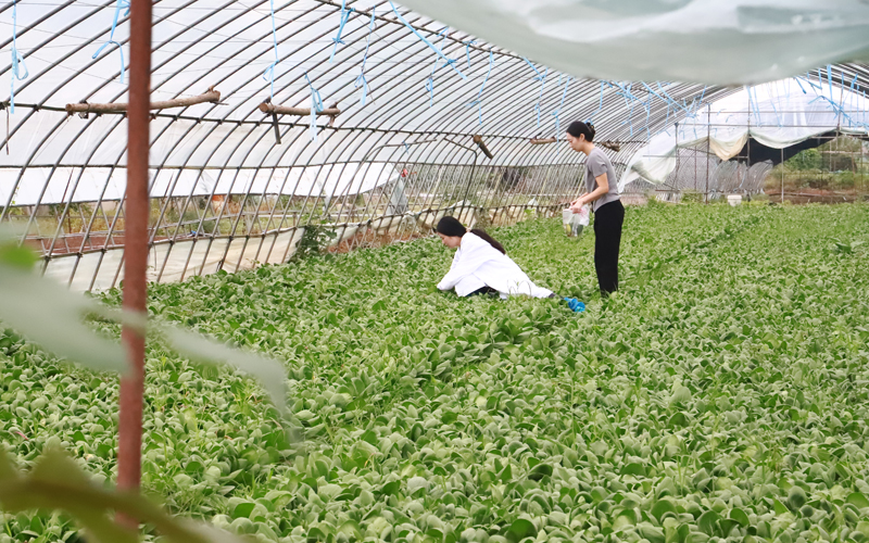 检测人员开展标准化采样。