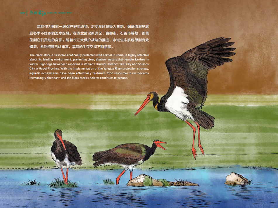 图片来自《你好，长江》