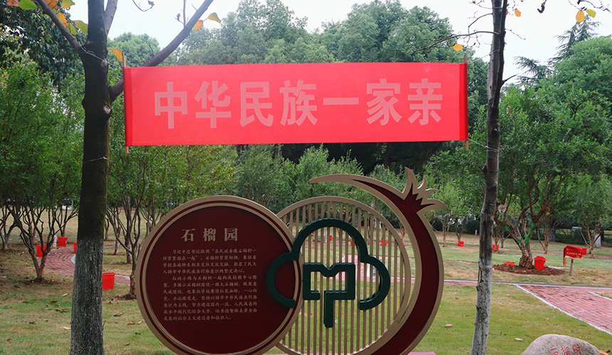 匯聚家鄉水澆灌同心石榴樹【4】