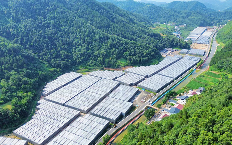 位於鄖西縣河夾鎮楊家灣村的智慧綠谷。徐軍攝