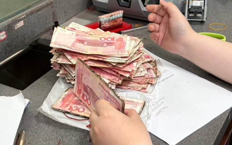 霉變紙幣。
