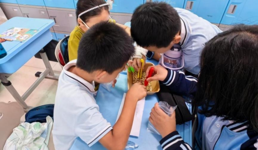 把糧食安全“大思政課”搬進小學課堂【2】