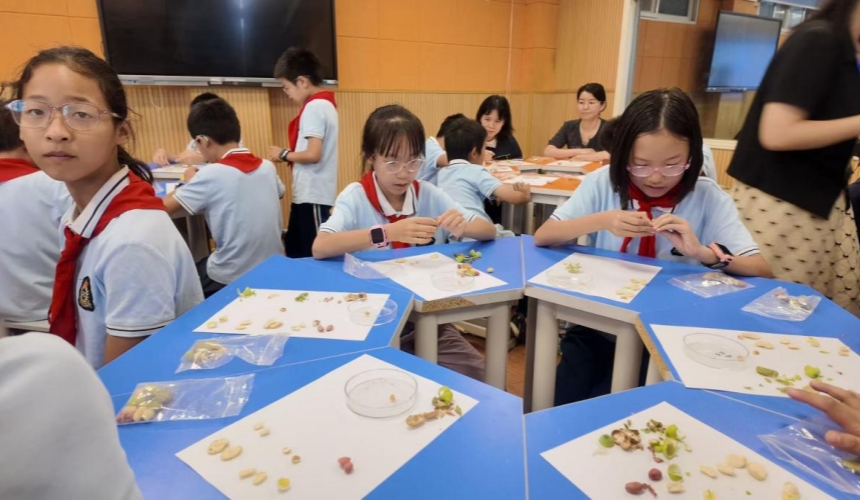 把糧食安全“大思政課”搬進小學課堂【4】