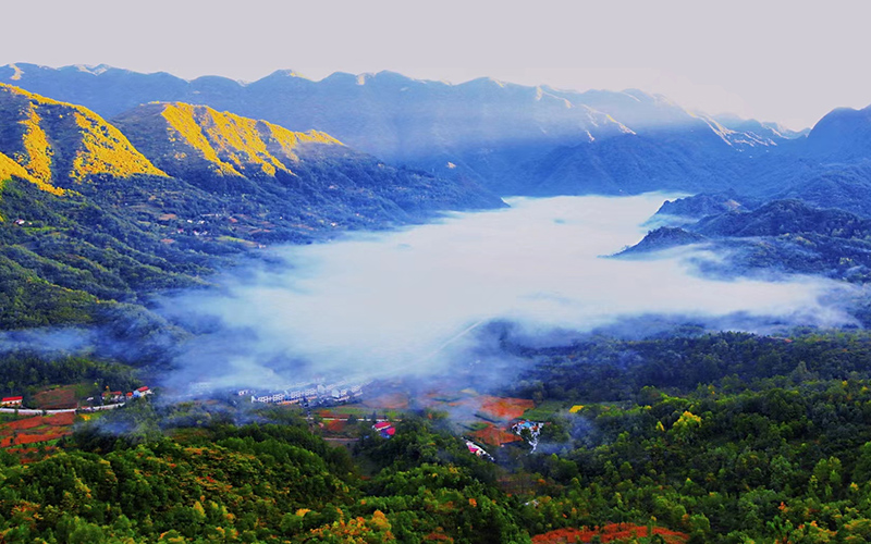 小新川村