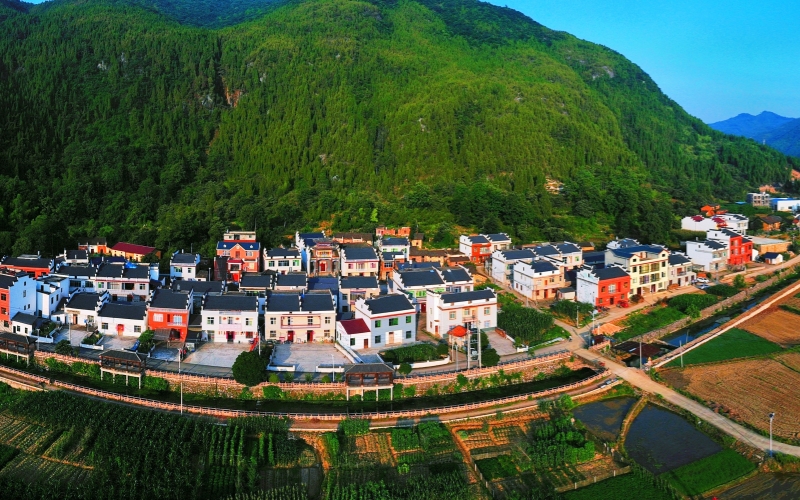 绿色乡村。程思摄